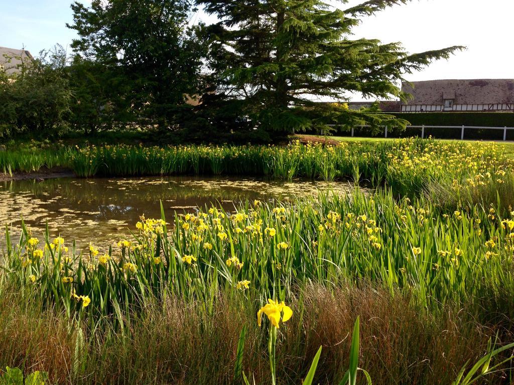 Residences Le Clos Du Manoir - Self Cooking Gauciel ภายนอก รูปภาพ